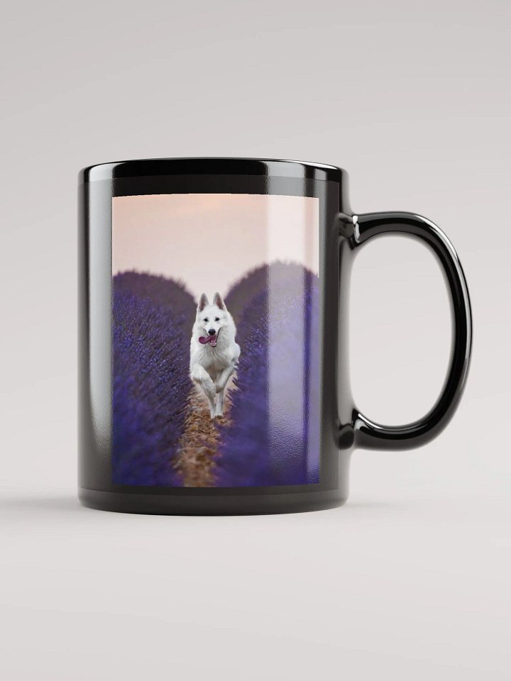 Rasta in the lavender fields product image (2)