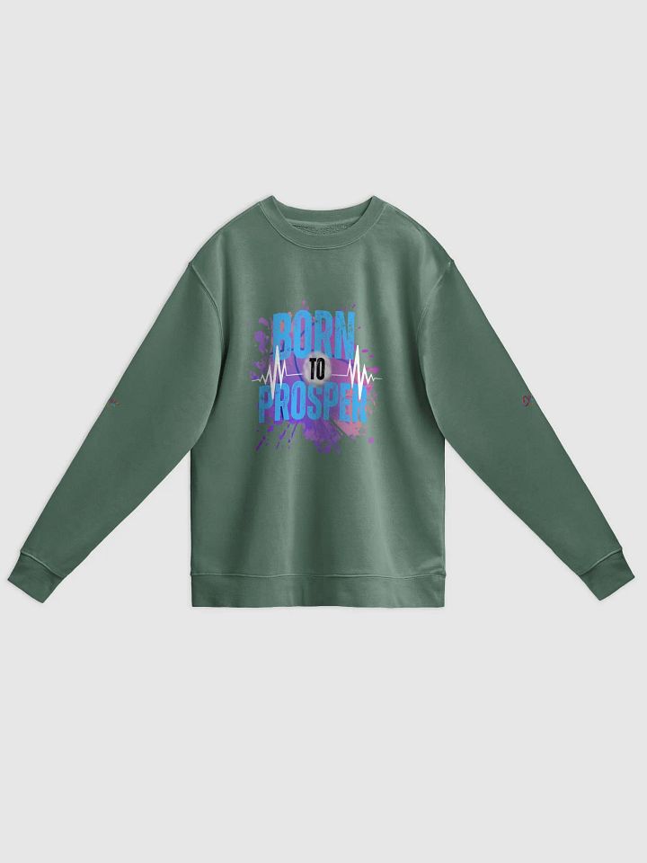 Born to Prosper Unisex Pigment Dyed Sweatshirt product image (4)