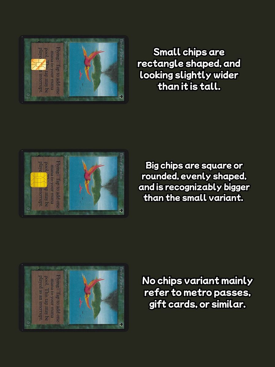 Birds of Paradise (Holographic) product image (3)
