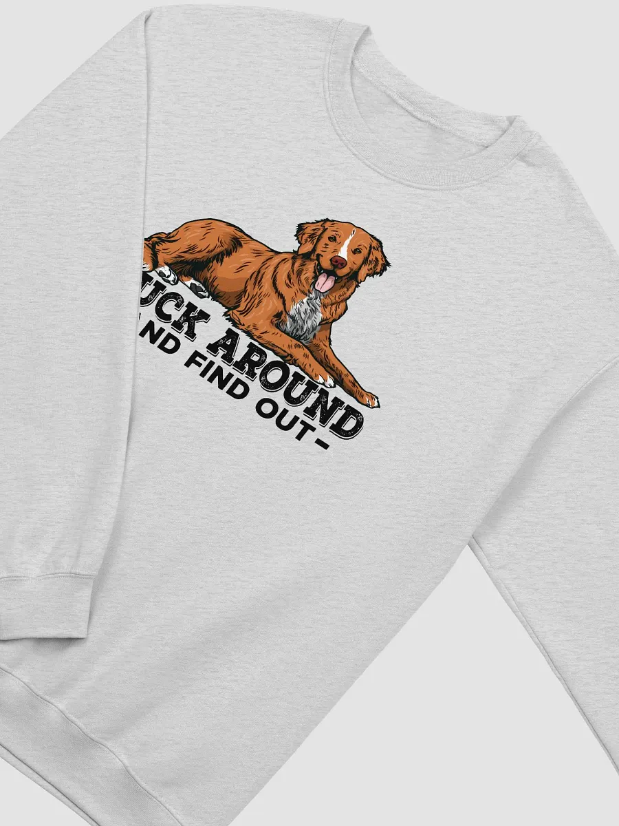 Duck Around and Find Out Sweatshirt of a Nova Scotia Duck Tolling Retriever | Funny Shirt for Toller Paw-rents product image (26)