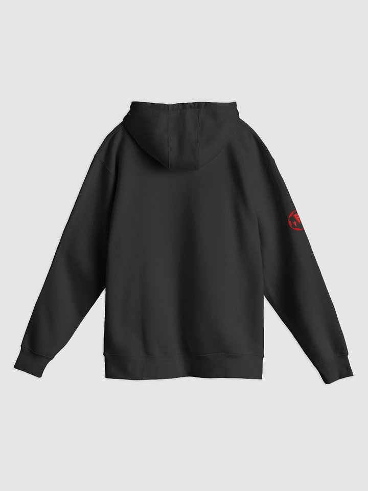 Safe and Secure Society Graphic Hoodie product image (7)