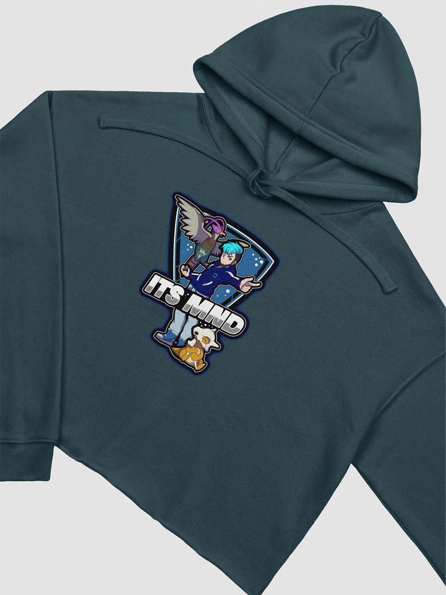 Its_MnD Printed Logo Cropped Hoodie product image (3)