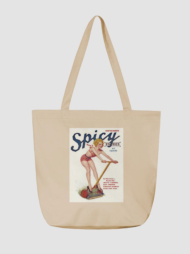 Spicy Stories Retro Tote Bag product image (2)