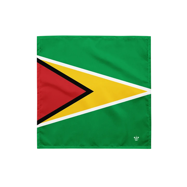 Guyana Flag product image (1)