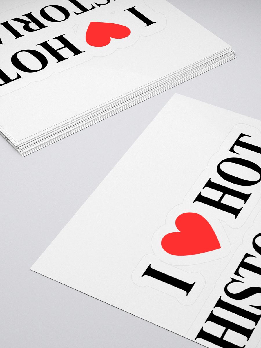 I HEART HOT HISTORIANS STICKER product image (13)