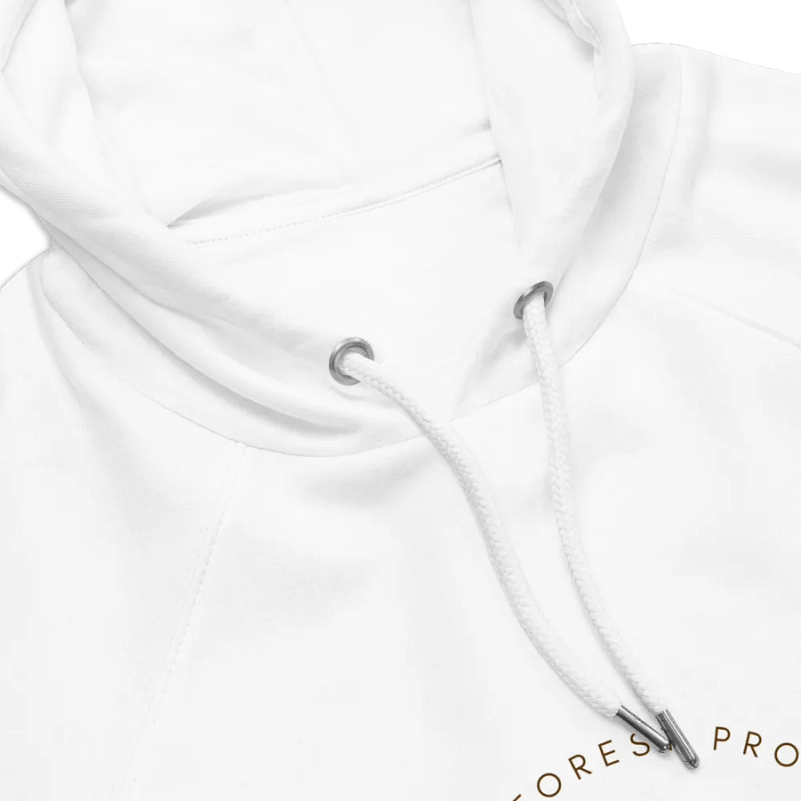 Forest Bridges Hoodie with Emblem on Front product image (7)