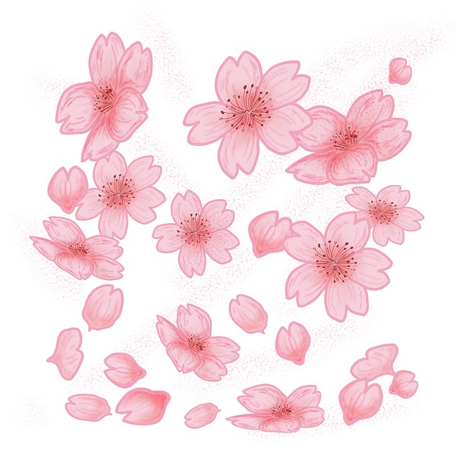 Florals-Nature-Seasons