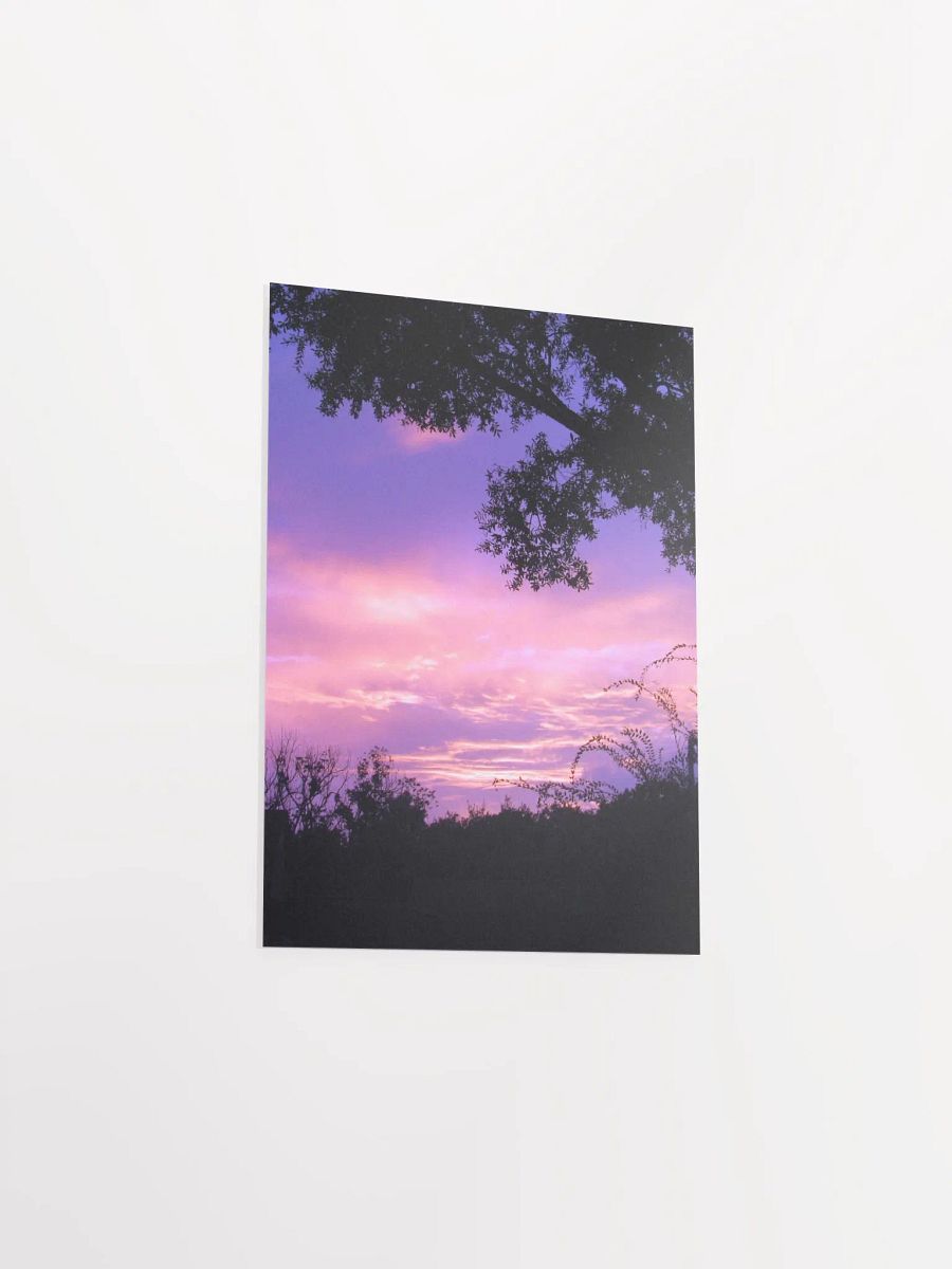 Florida Sunset product image (31)
