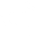 Goosly