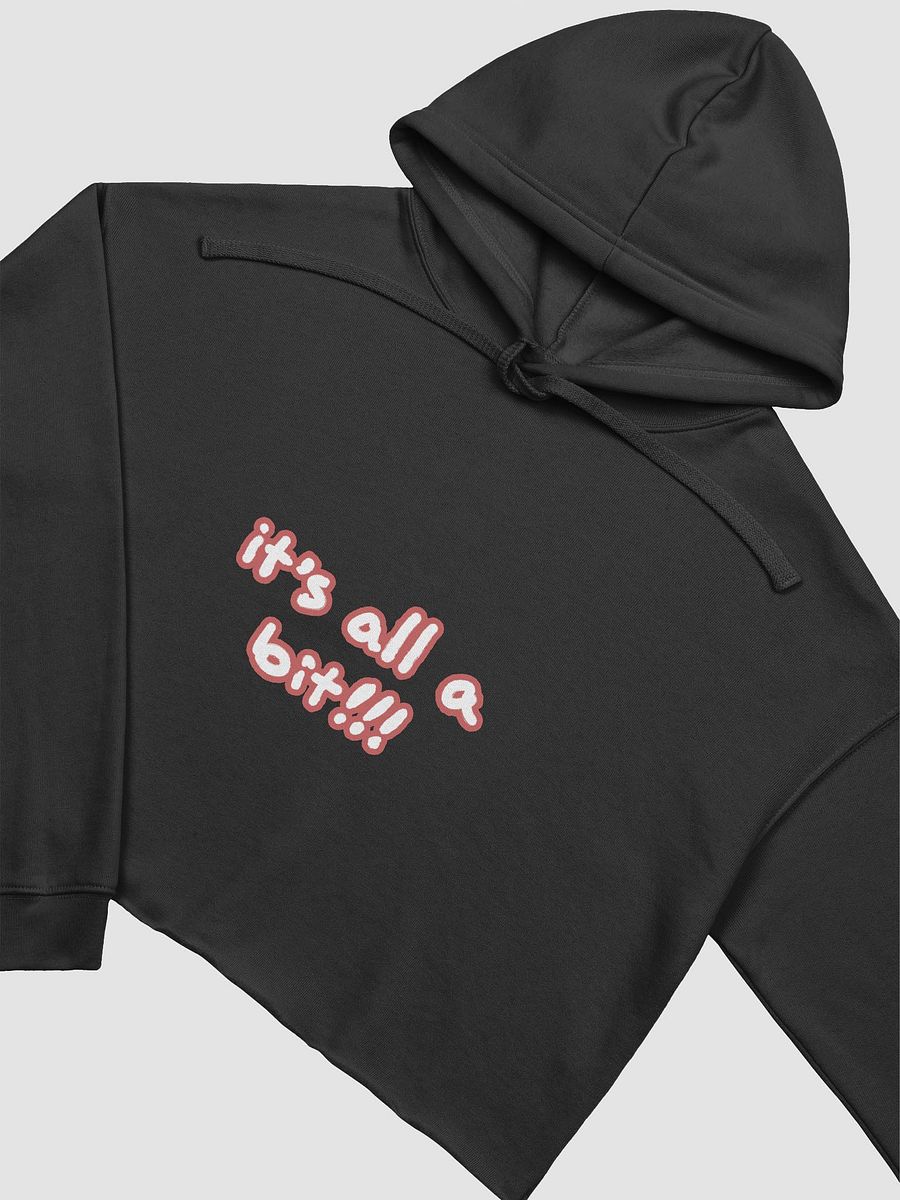 “It’s all a bit!!!” (lined design, #CB5F5F) fleece cropped hoodie product image (5)