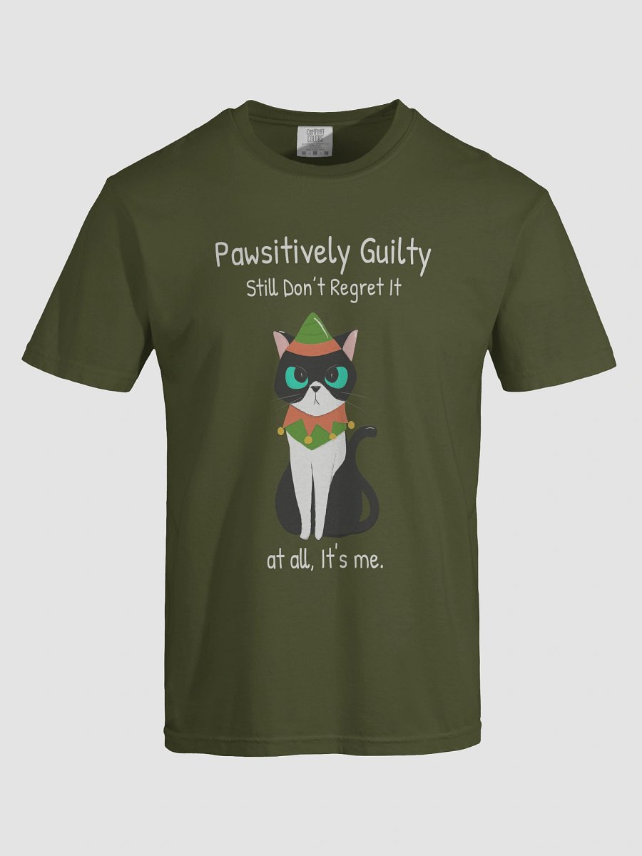 Whimsical Elf Cat T-Shirt product image (56)