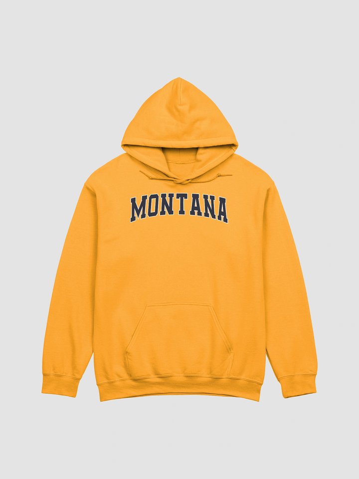 Montana Vintage Stylish Classic Hoodie product image (1)