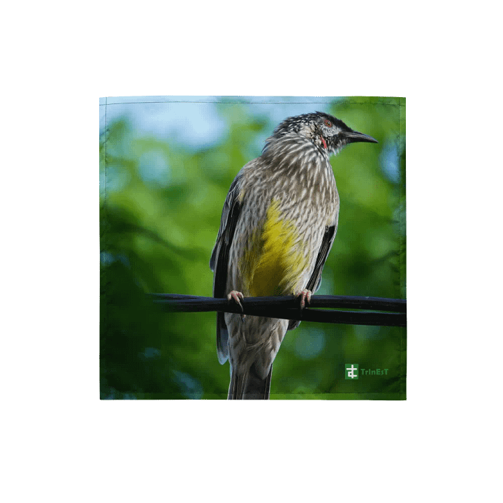 Bird Bandana product image (1)