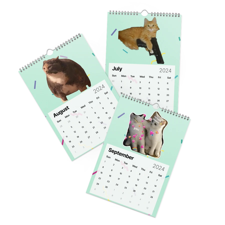 Wall Calendar (2024): Meme Cats product image (11)