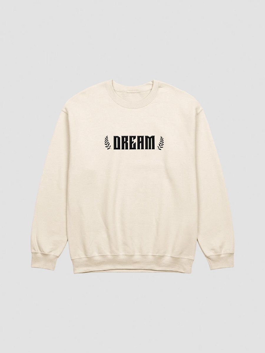 Dream Big Embroidery Sweatshirt product image (22)