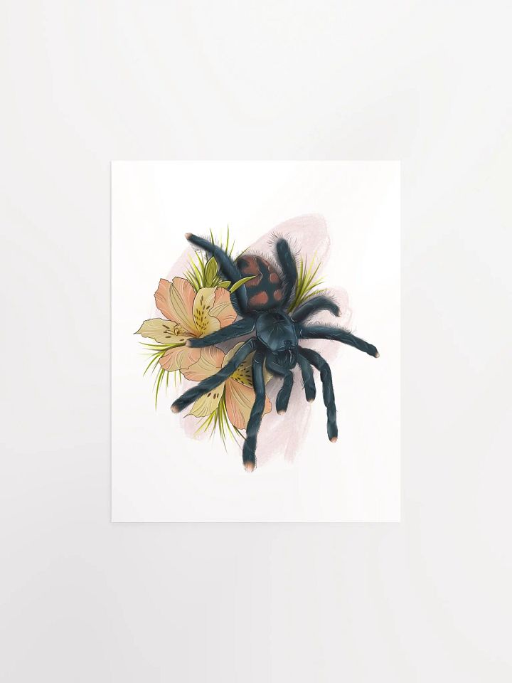Avicularia avicularia product image (2)