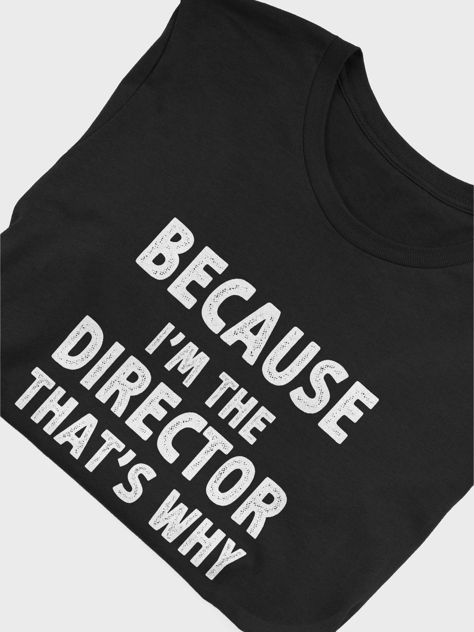 Because I'm the Director, That’s Why! T-Shirt | Funny Theater & Film Director Tee product image (5)