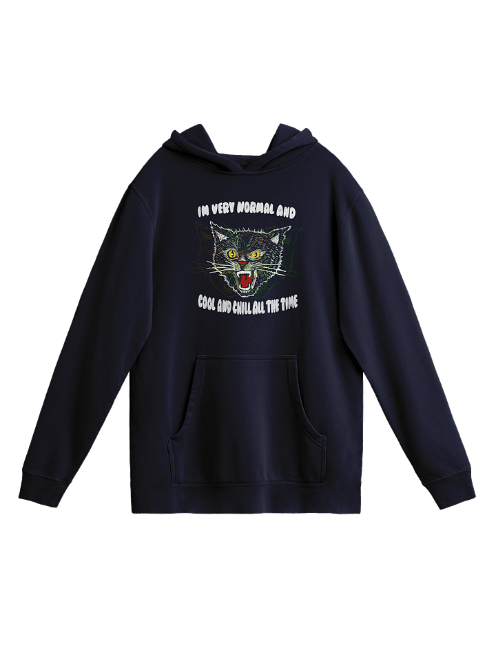 Very Normal - Hoodie product image (1)