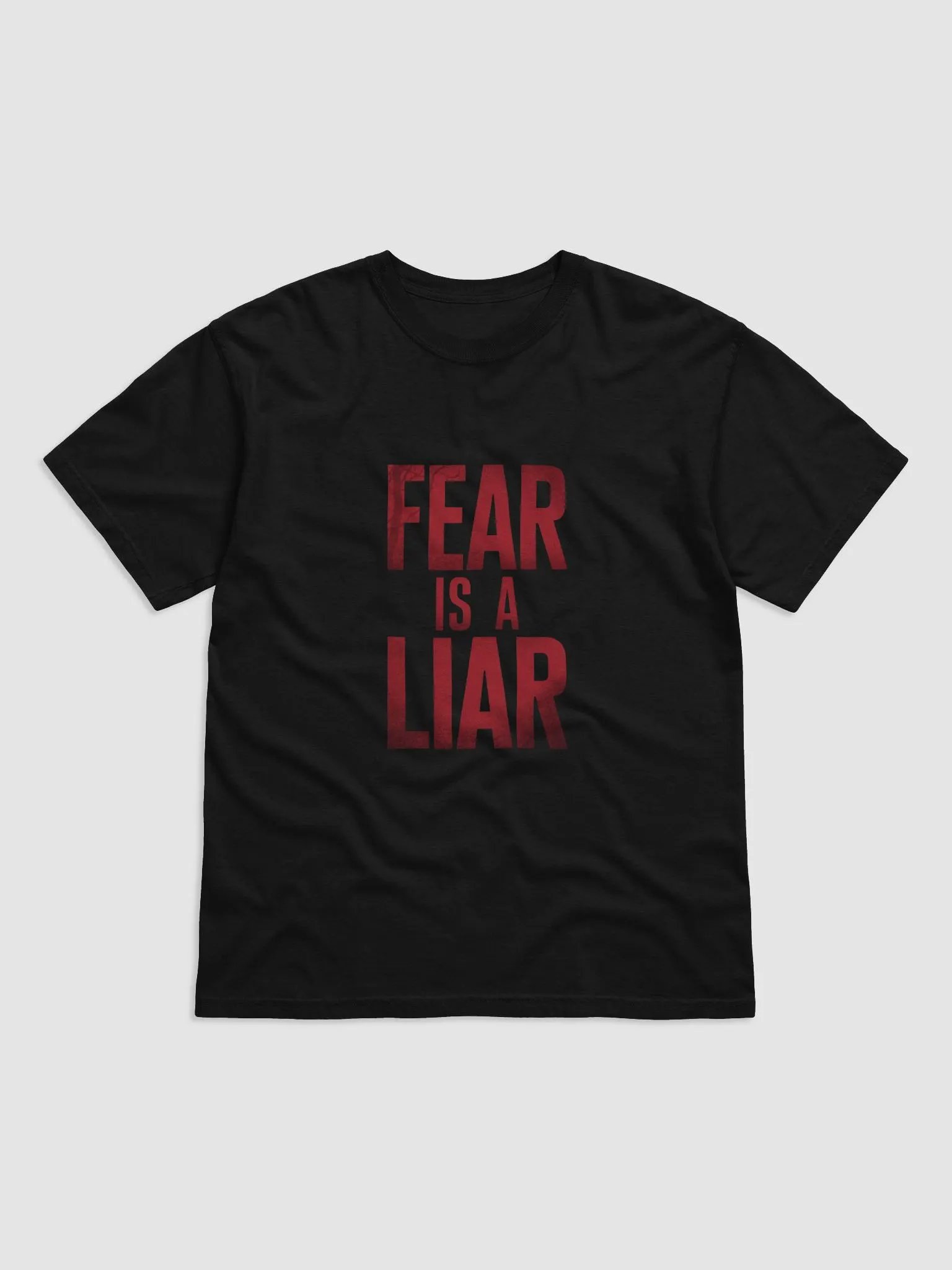 Fear is a liar Heavyweight Tee product image (1)