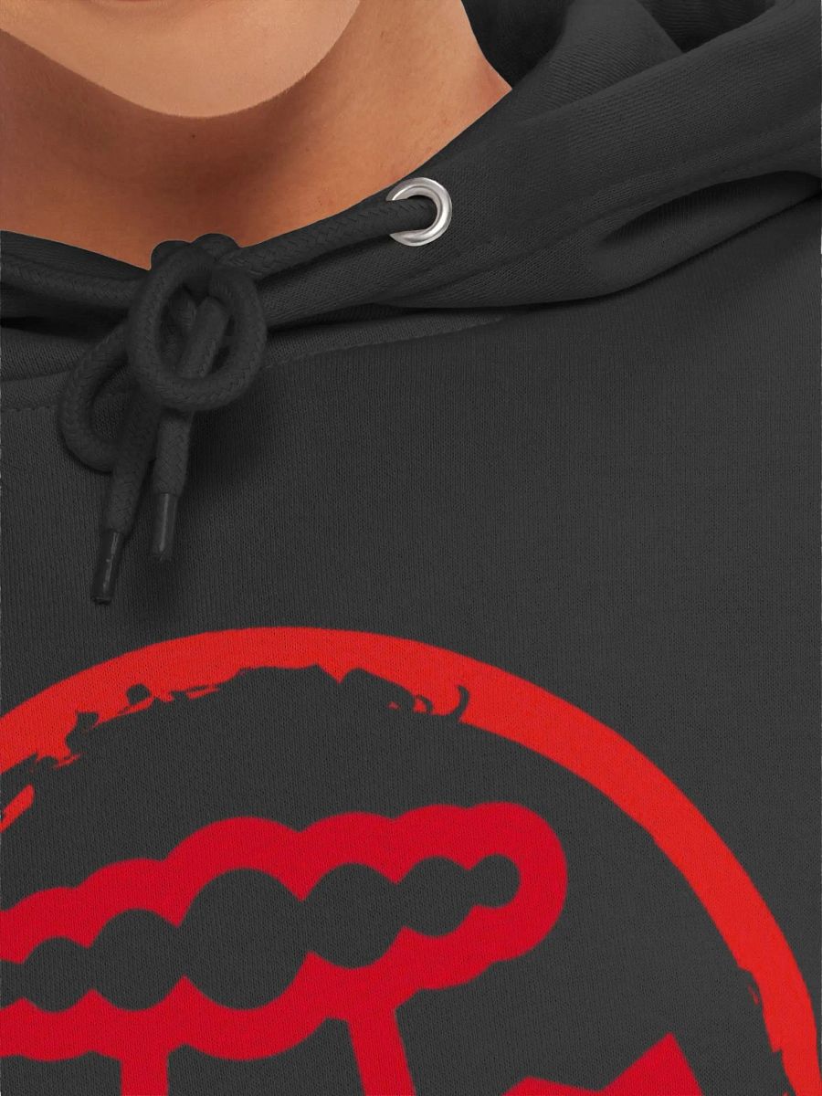 BAMBOOZLED HOODIE product image (7)