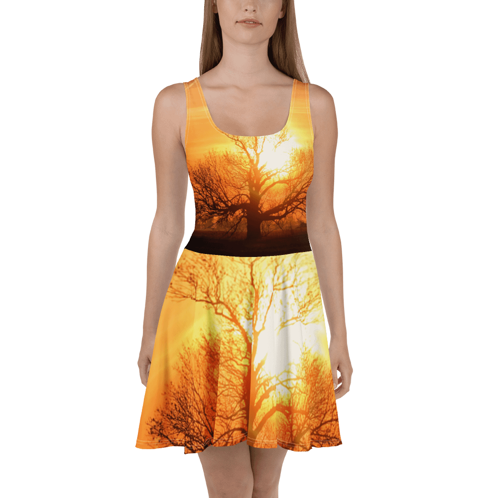 'Moods III' Skater Dress product image (2)