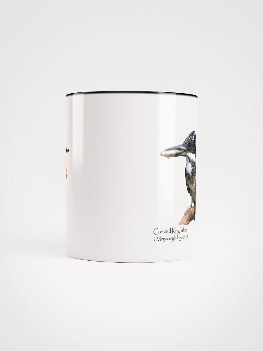 Crested Kingfisher mug product image (49)