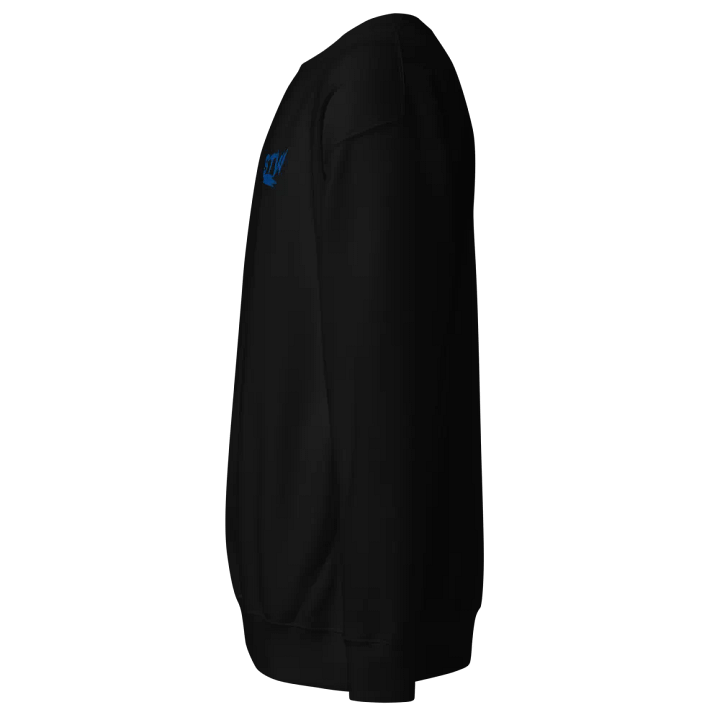 BTW long sleeve T product image (11)