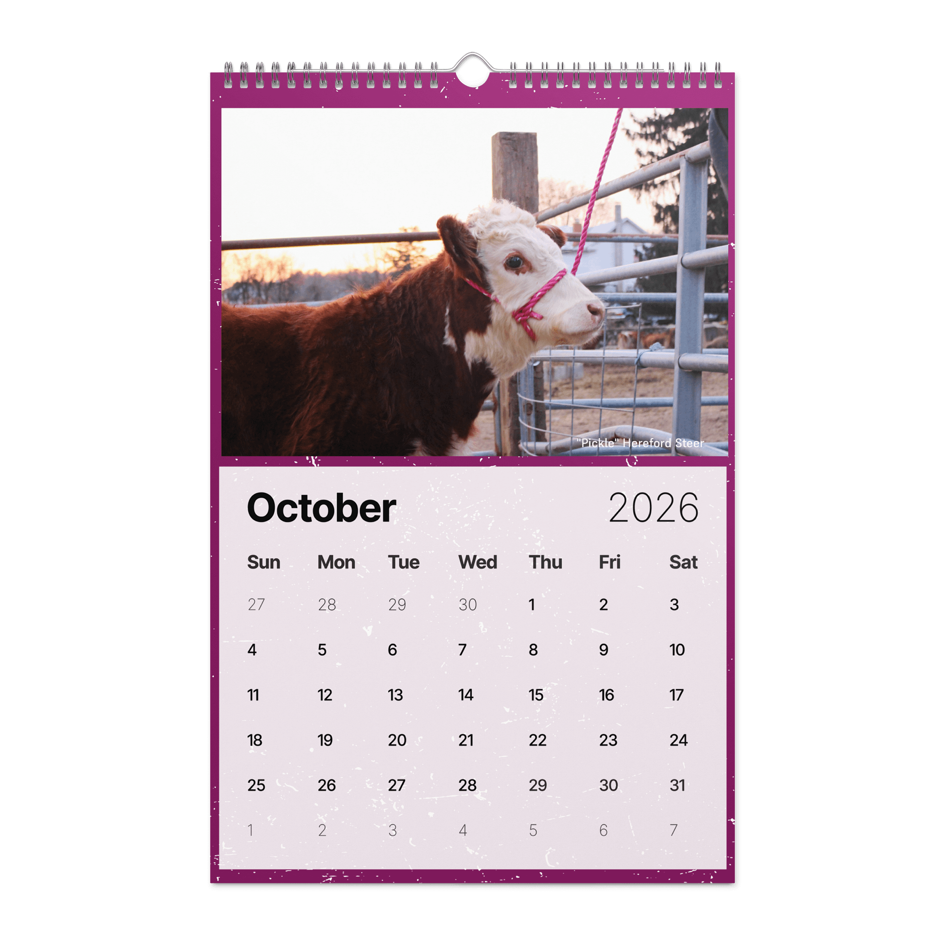 Muddy Toes Farm 2026 Country Life Calendar product image (12)