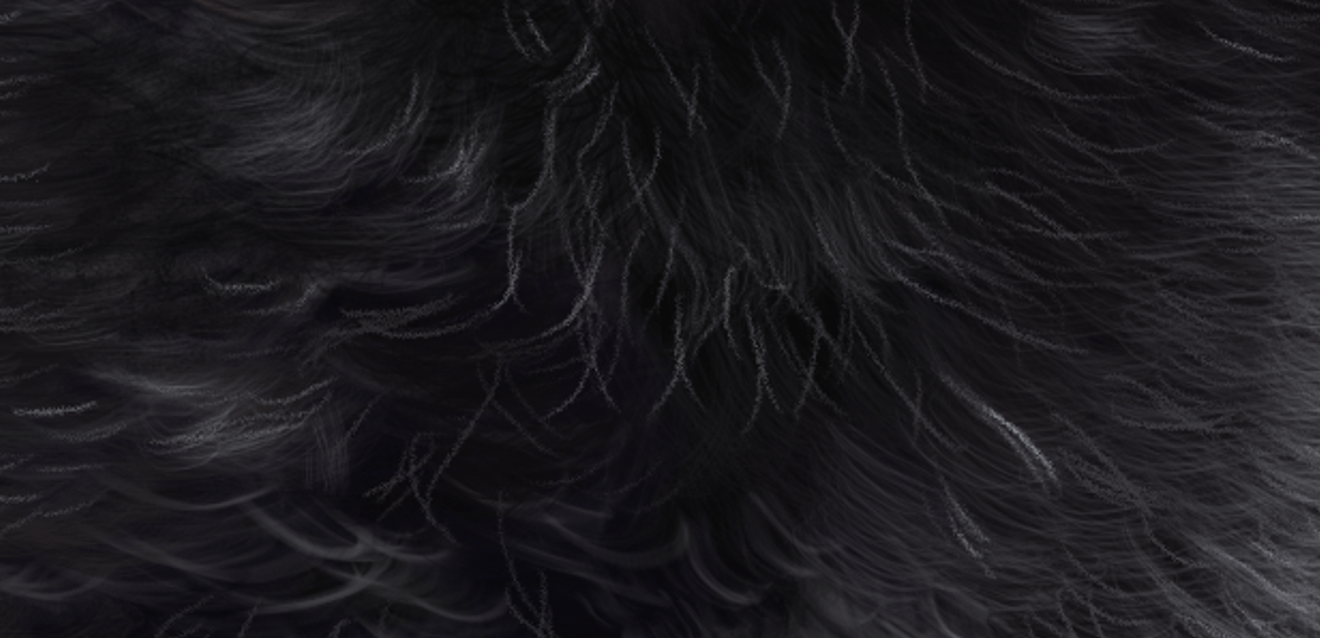 Digital file: Oreo the Labradoodle product image (2)