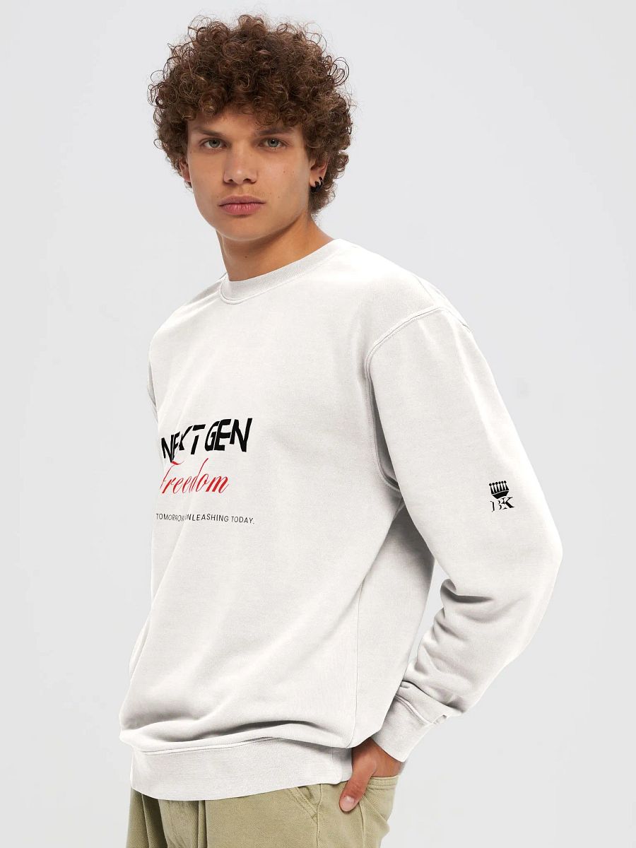 Next Gen, Freedom. Empowering Tomorrow, Unleashing Today Regular Fit Sweatshirt product image (5)