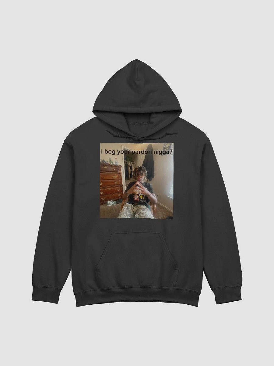 Wockhardt I beg your pardon Hoodie product image (1)