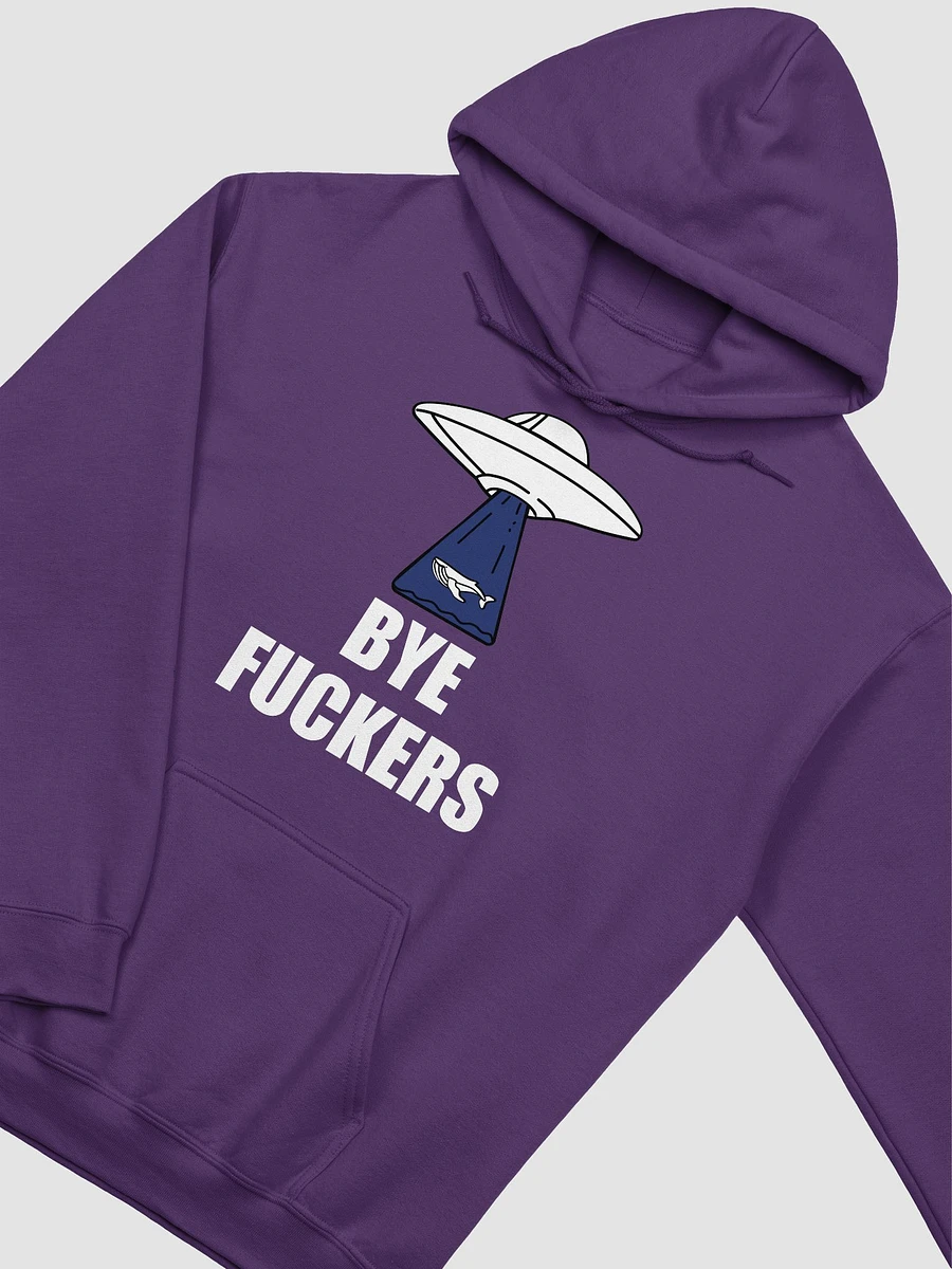 Bye Fuckers classic hoodie product image (51)