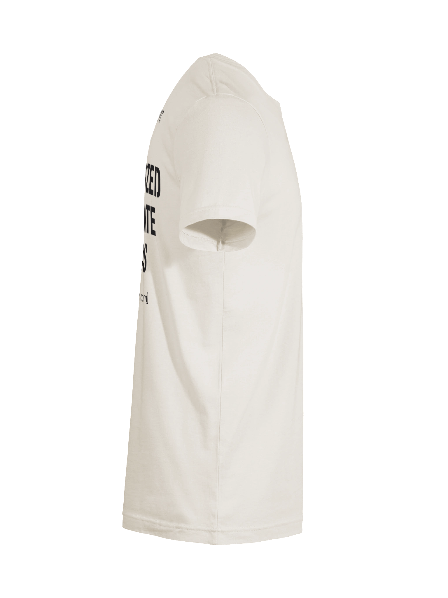 Authorized to Create Chaos Tee (Back Print) product image (12)