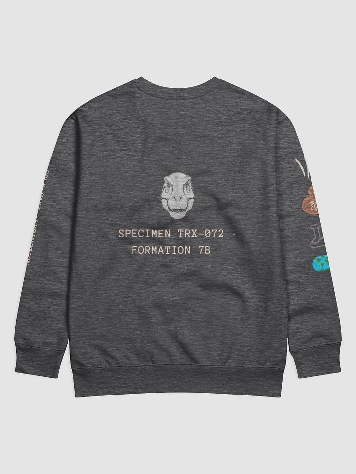 Fossil Archive Premium Sweatshirt product image (2)