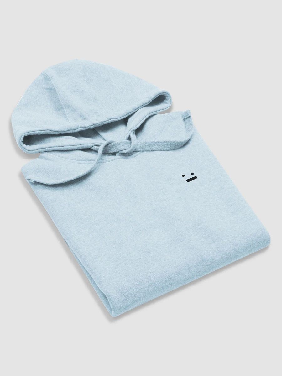 elyk Corporated Hoodie product image (5)