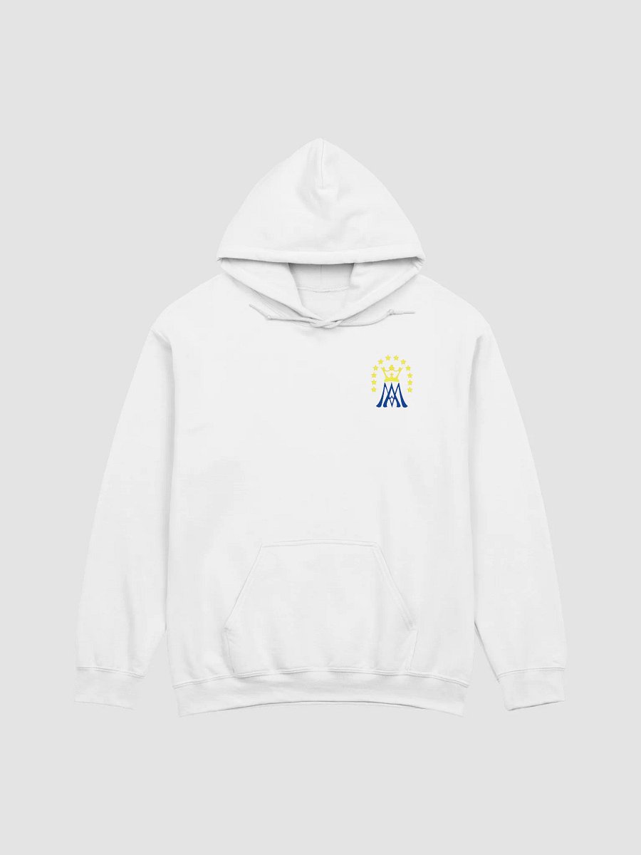 Most Holy Mary Theotokos Ora Pro Nobis product image (2)