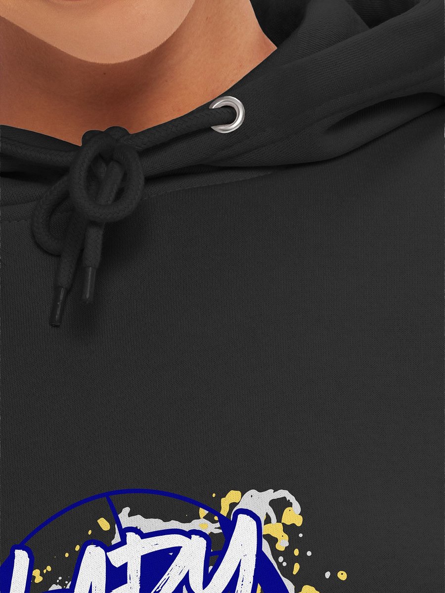 Lady Eagles Paint Premium Pullover Hoodie product image (38)