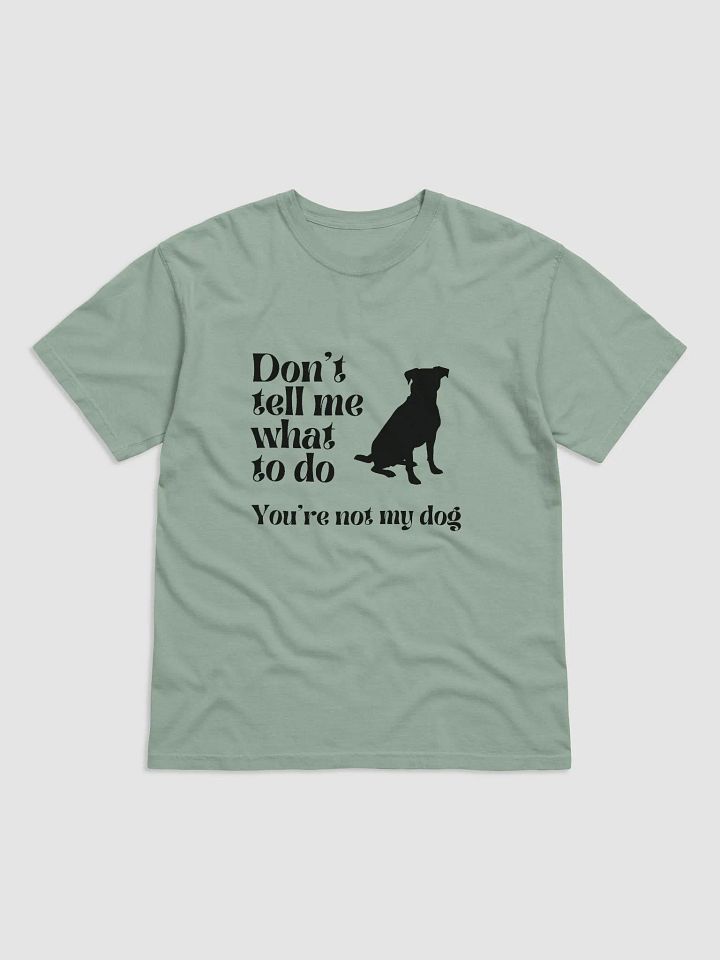 Don't Tell Me What To Do! product image (11)