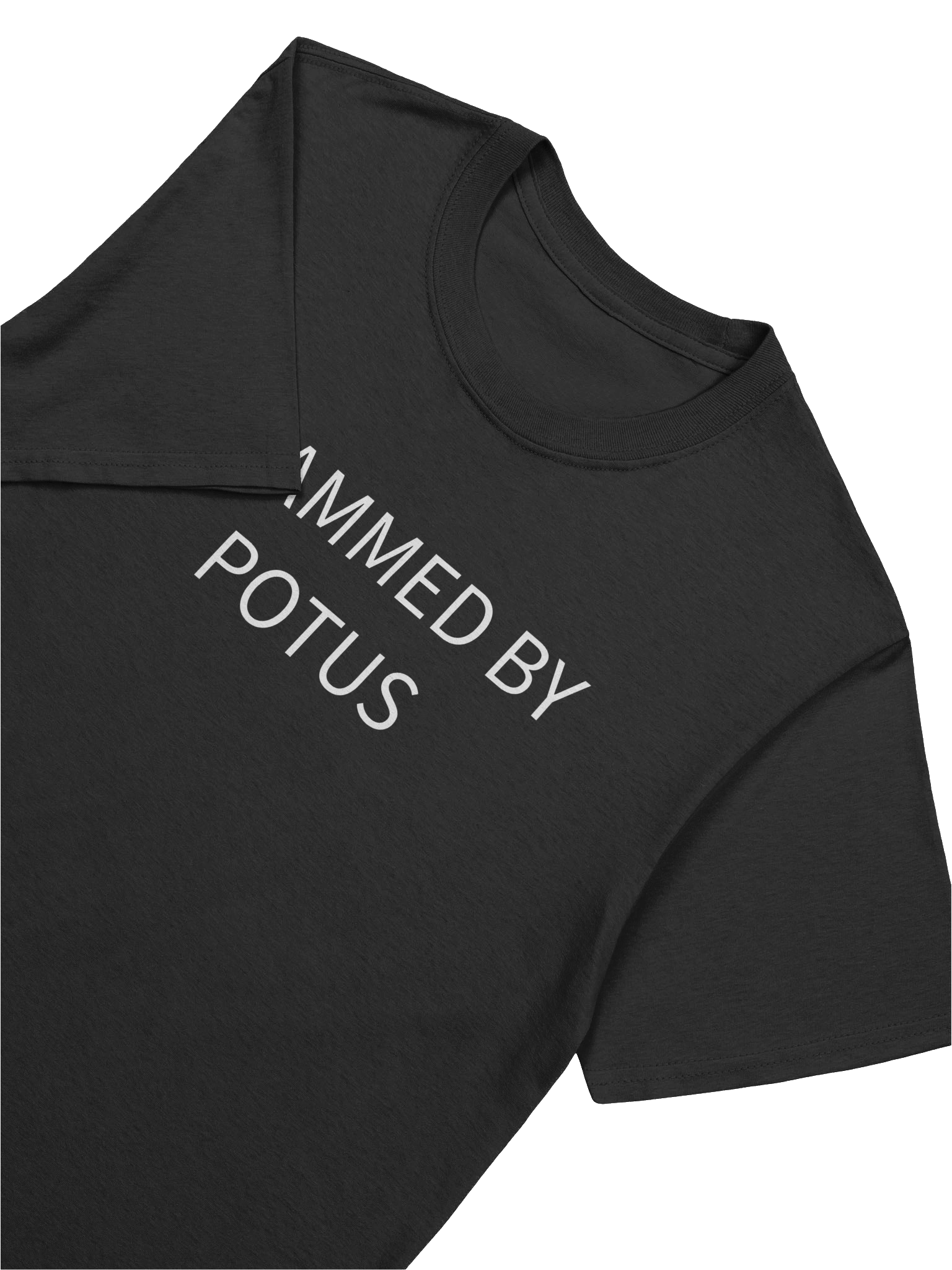 Scammed by POTUS product image (7)
