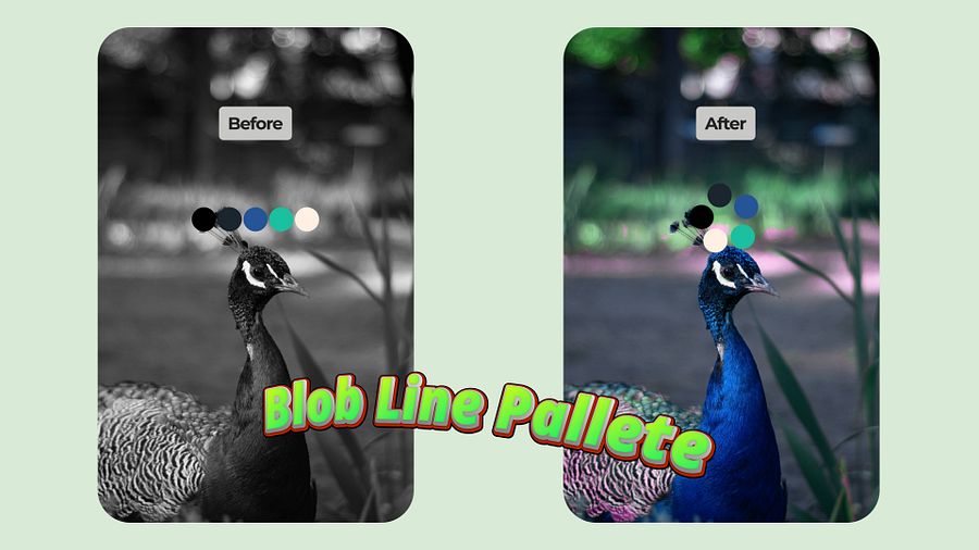 New Before/After Color Palette Templates product image (2)