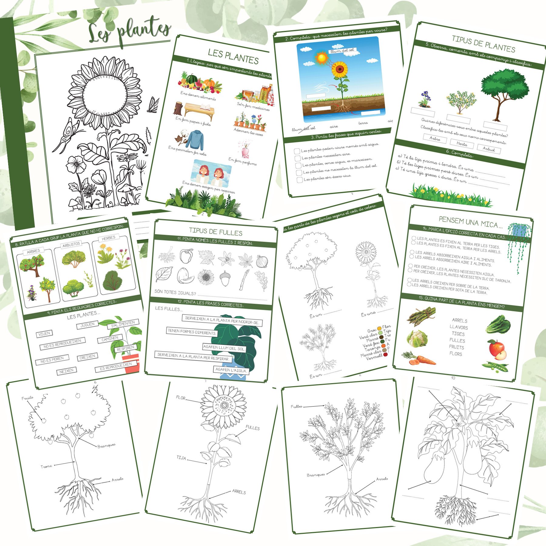 Les plantes product image (2)
