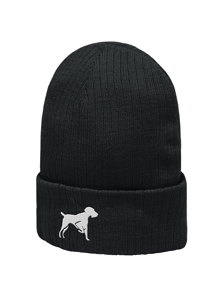 Bird Dogs Beanie product image (2)