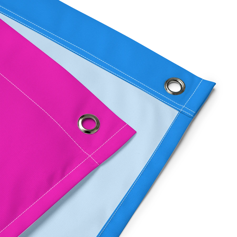 Polysexual Pride Flag product image (3)