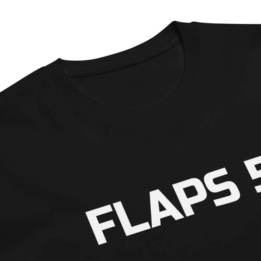 FLAPS 5 T-shirt product image (3)