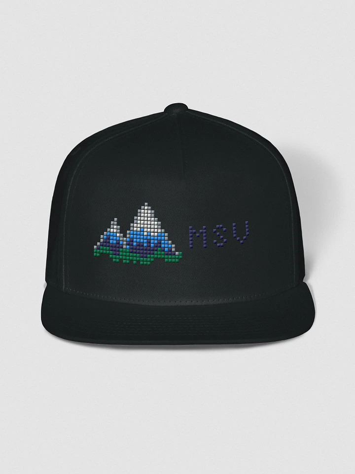 Friendly Critters: Mt. Shade Island Snapback Cap product image (2)