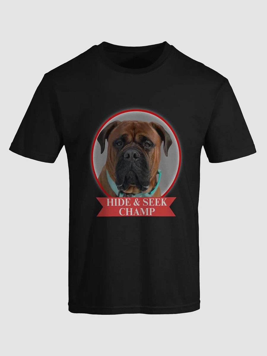 Hide & Seek Champ Tee product image (1)