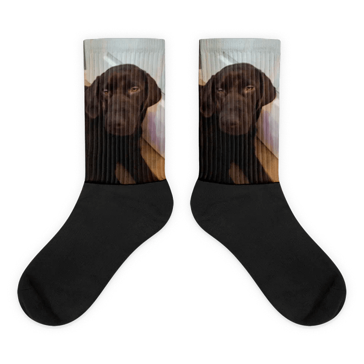 Wwww product image (1)