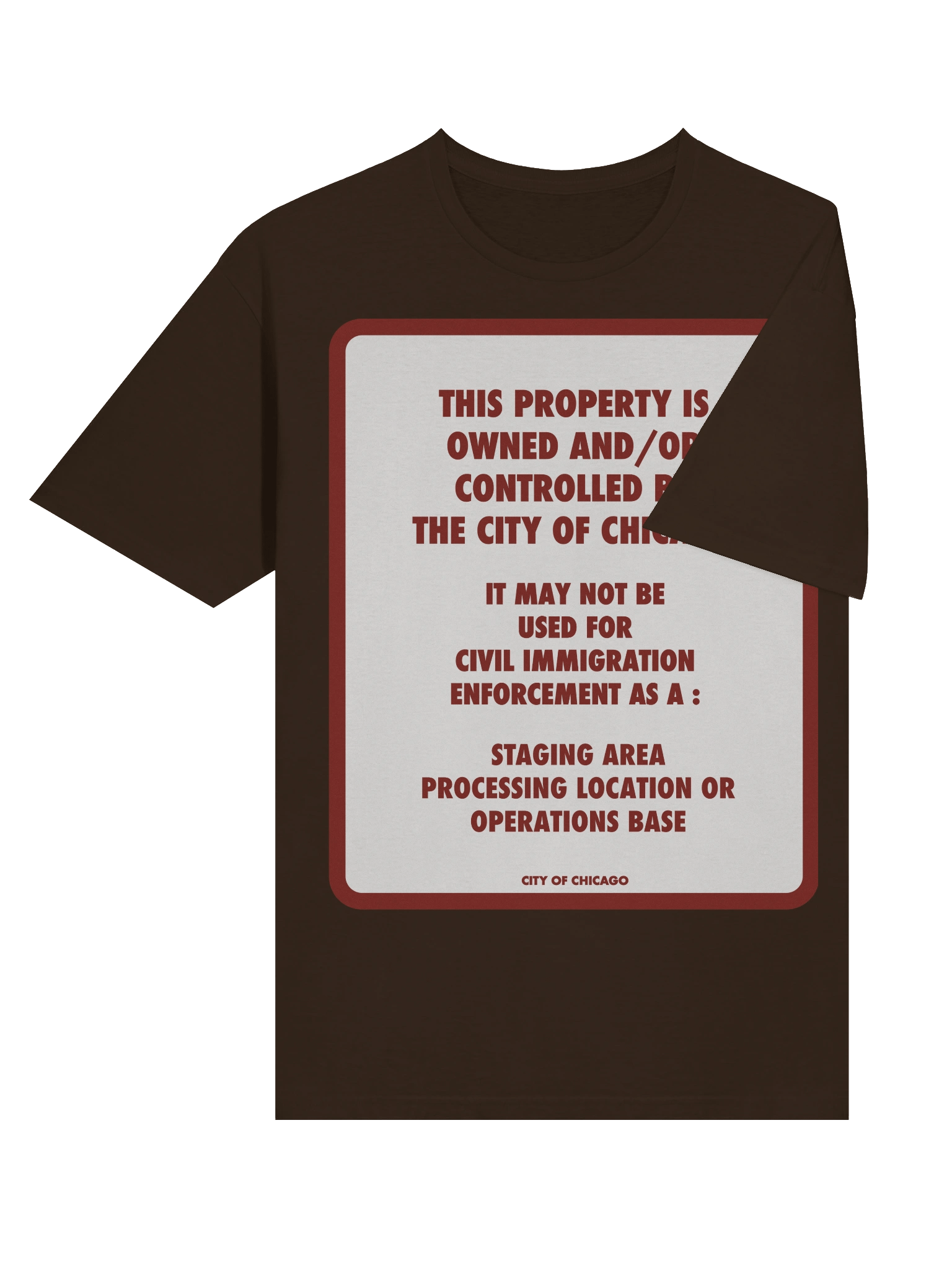 The Chicago No Ice T Shirt product image (6)