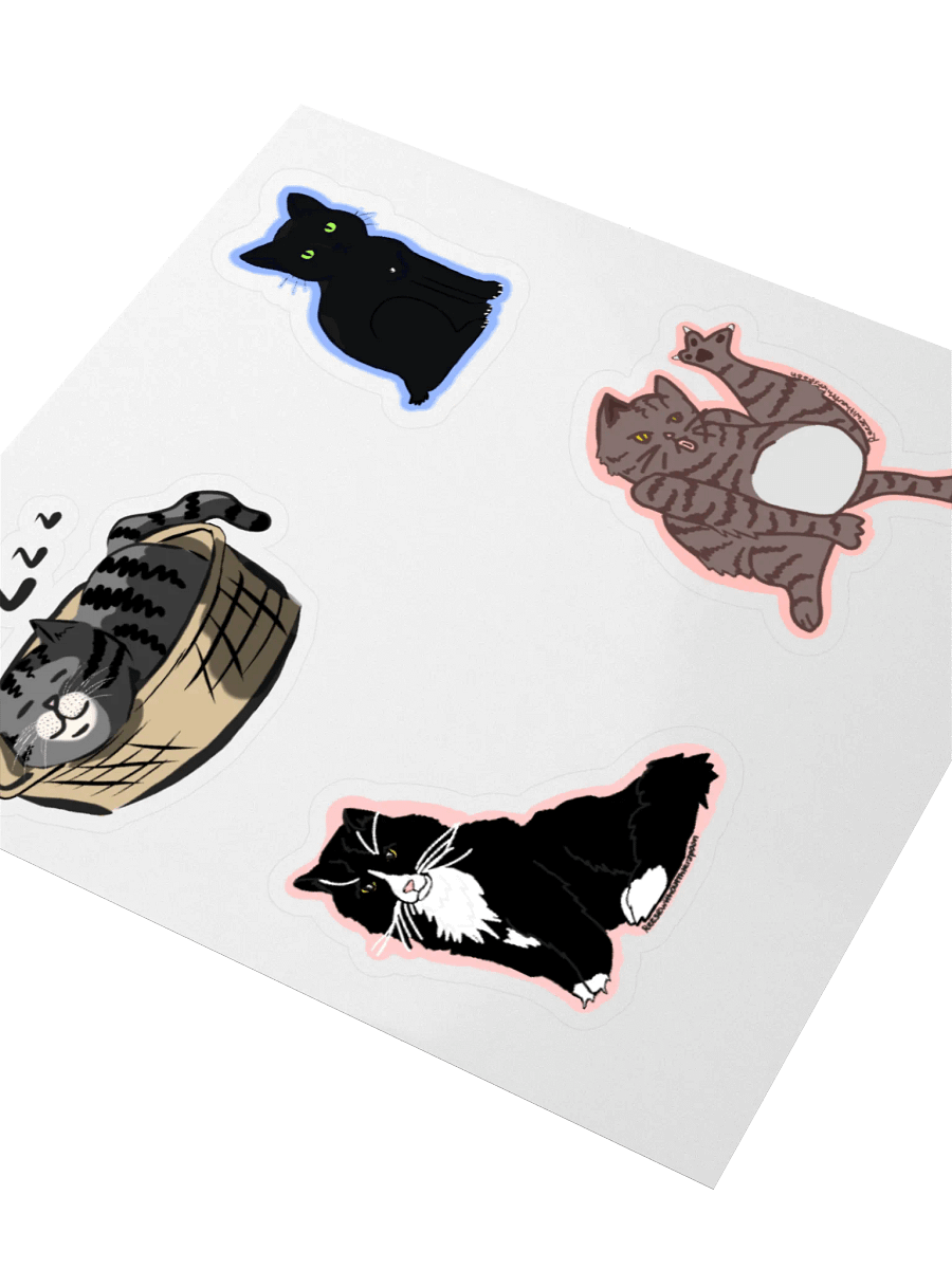 The cats product image (3)