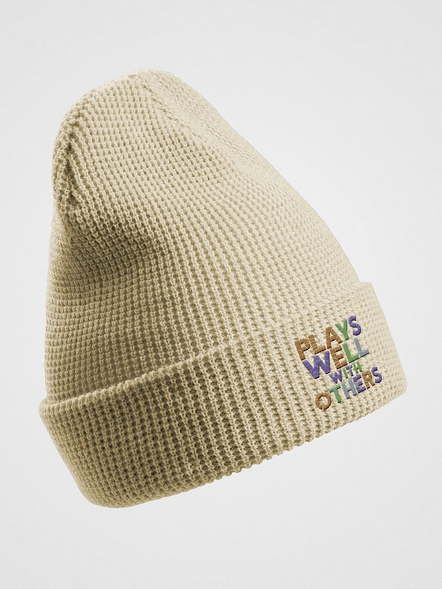 Plays Well With Others embroidered waffle beanie product image (12)